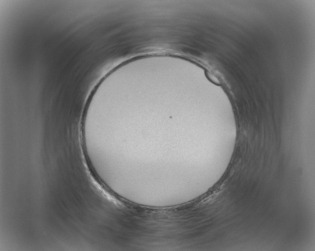 X0000064041239200602171636