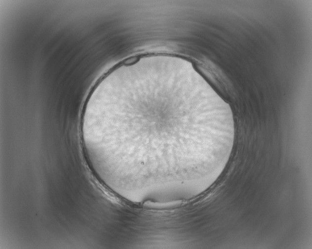 X0000064041240200602171636