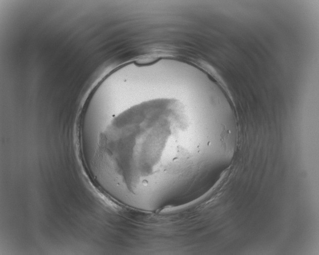 X0000064041243200602171636