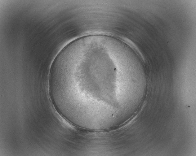 X0000064041244200602171636