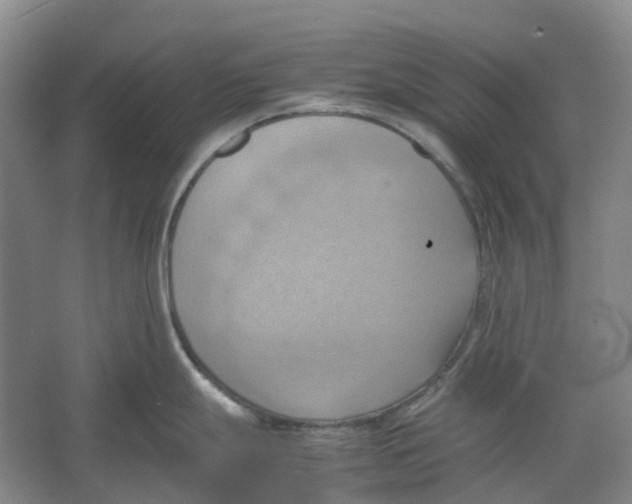 X0000064041247200602171636