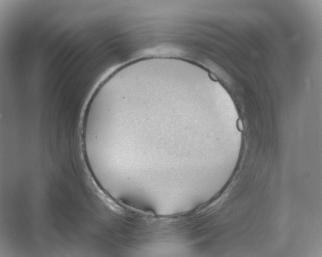 X0000064041248200602171636