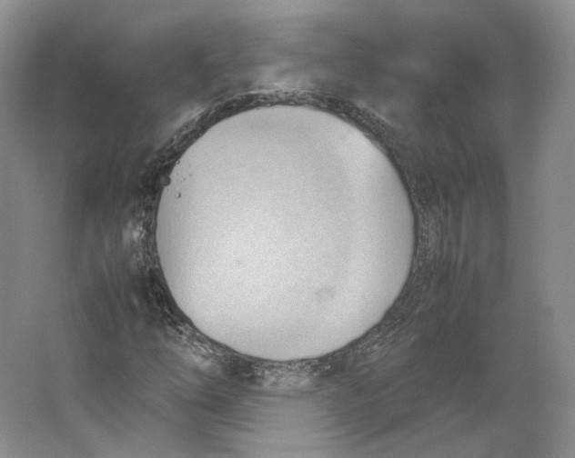 X0000064041254200602171635