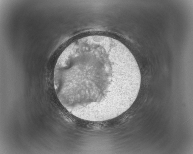 X0000064041255200602171635