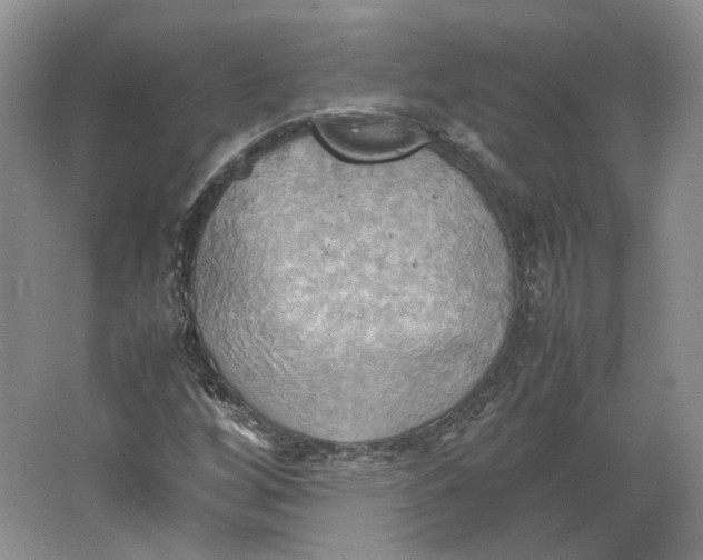 X0000064041256200602171635