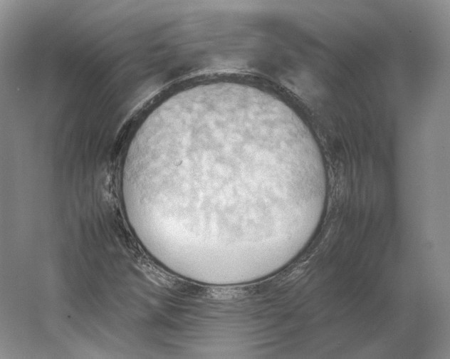 X0000064041258200602171635