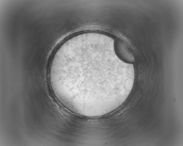 X0000064041264200602171635