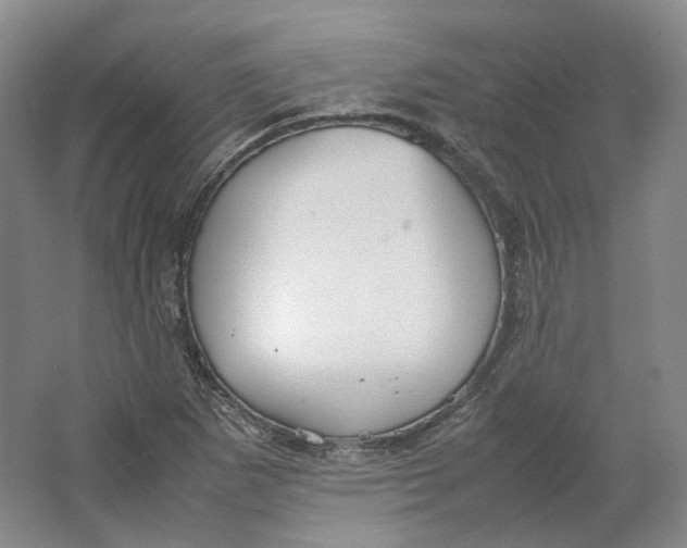 X0000064041265200602171635