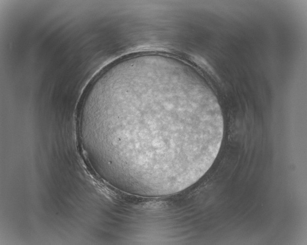 X0000064041268200602171635