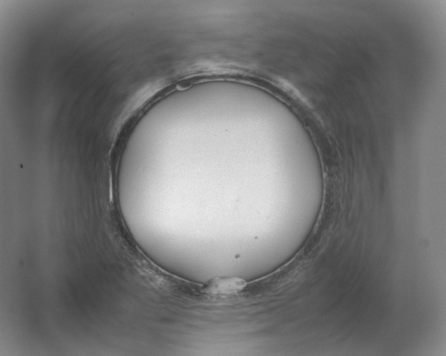 X0000064041269200602171635