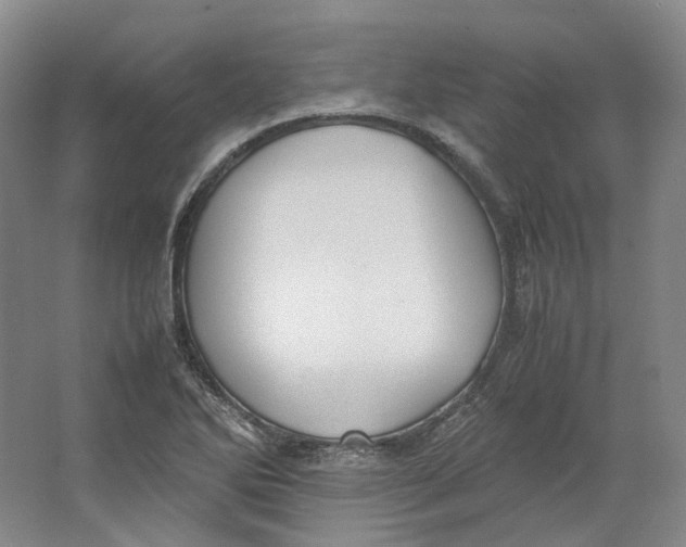 X0000064041270200602171635