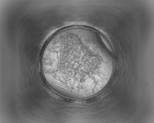 X0000064041271200602171635