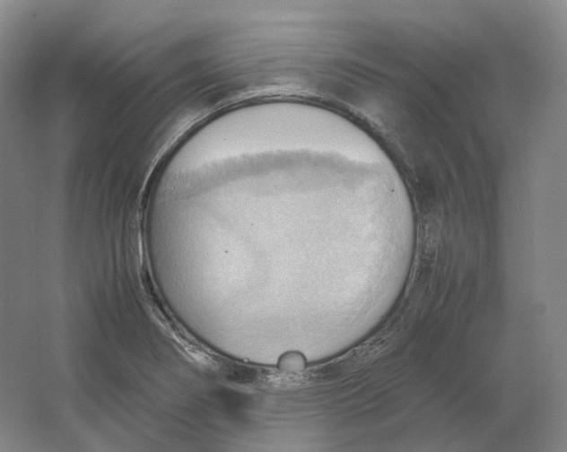 X0000064041274200602171635