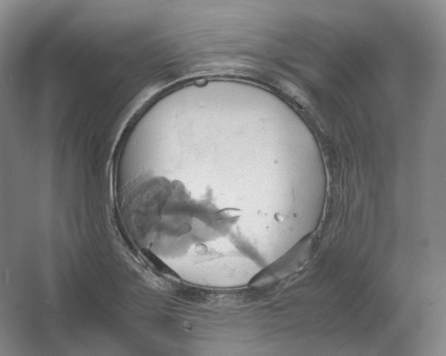 X0000064041275200602171635