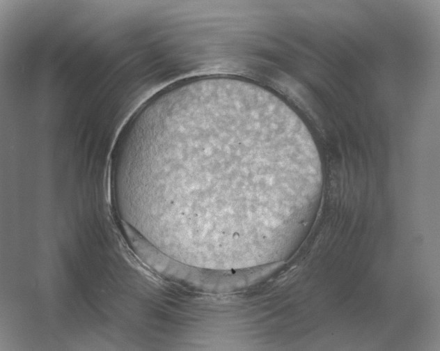 X0000064041276200602171635