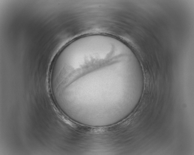 X0000064041278200602171635