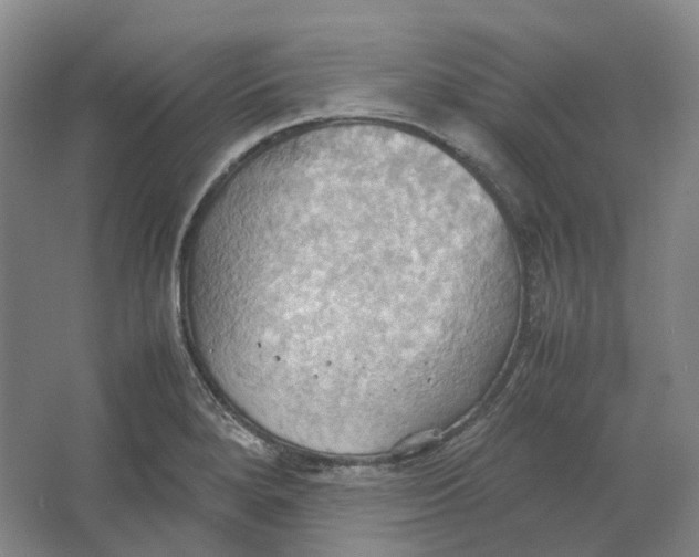 X0000064041280200602171635