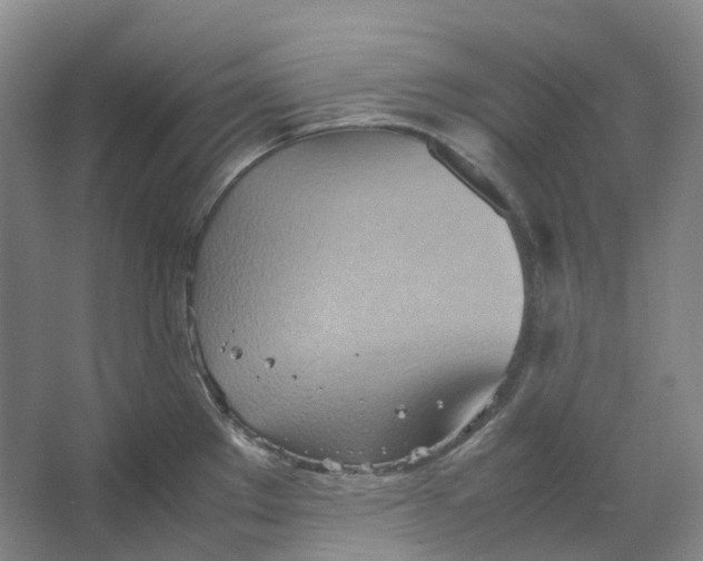 X0000064041289200602171634