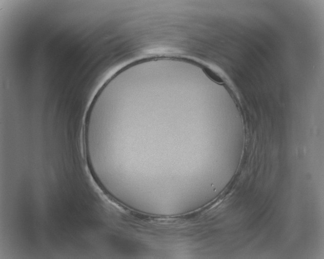 X0000064041295200602171634