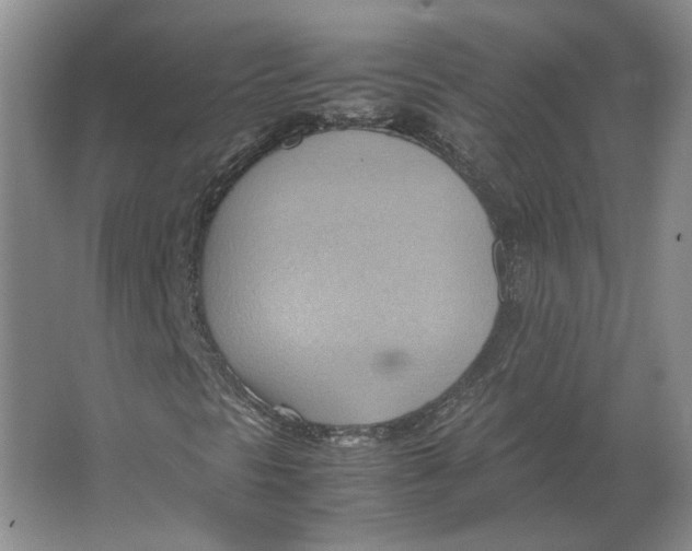 X0000064041297200602171633