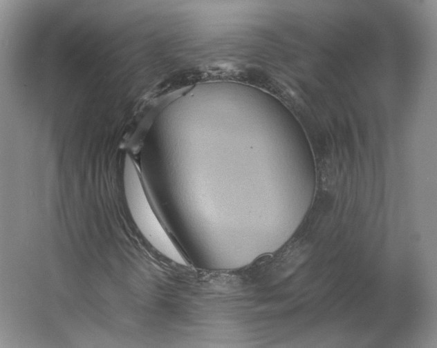 X0000064041298200602171633