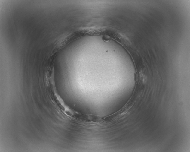 X0000064041300200602171633