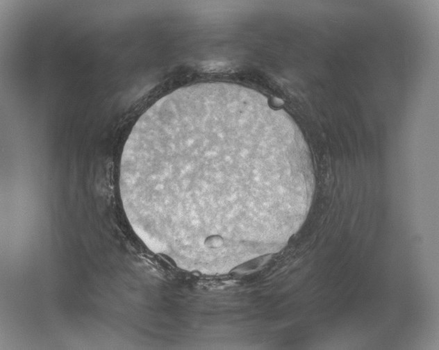 X0000064041301200602171633