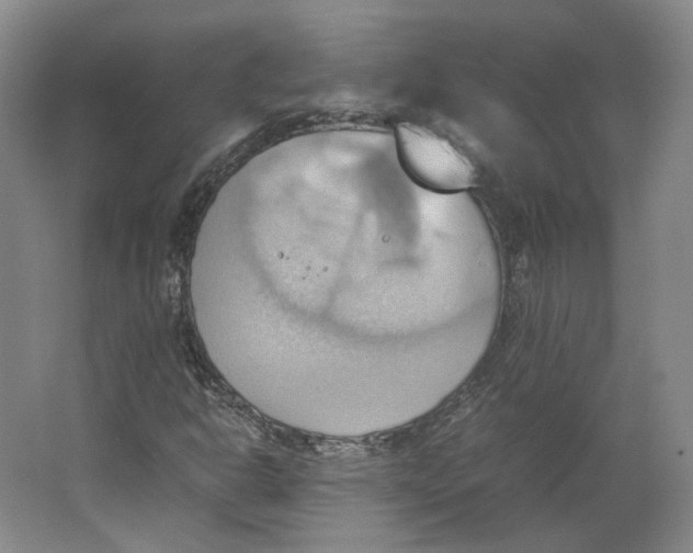 X0000064041302200602171633