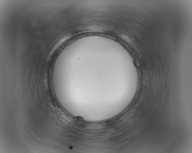 X0000064041307200602171634