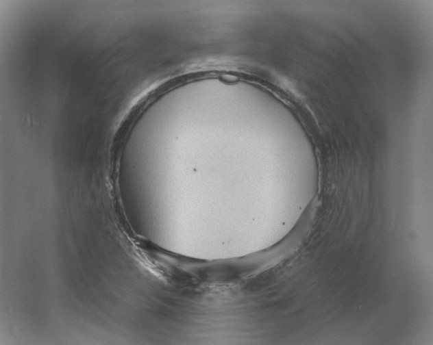 X0000064041312200602171634