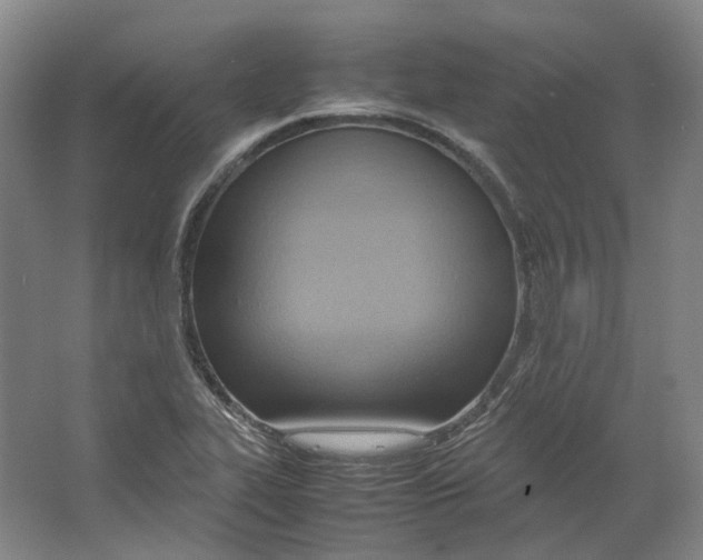 X0000064041319200602171634