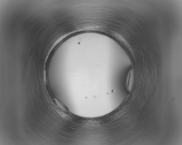 X0000064041324200602171634