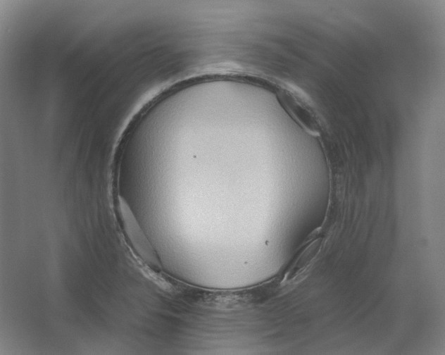 X0000064041326200602171634