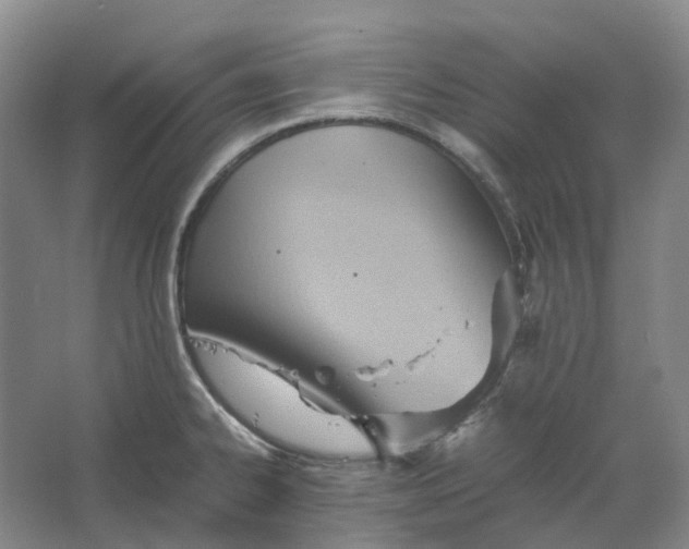 X0000064041334200602171634