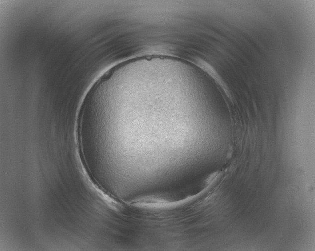 X0000064041339200602171634