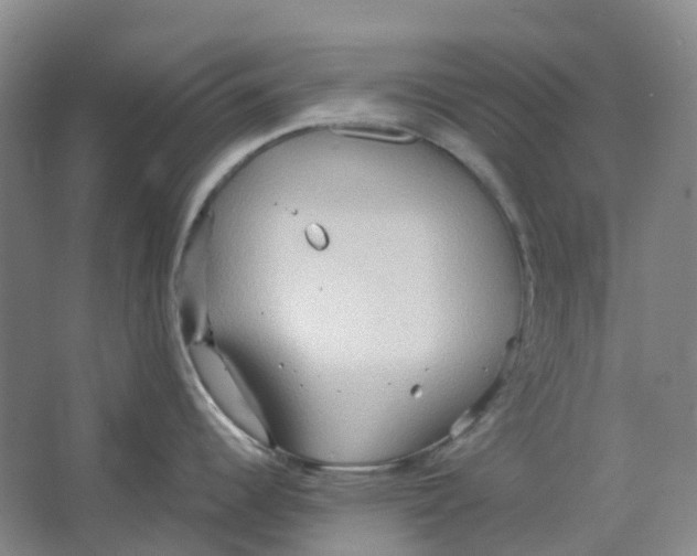 X0000064041344200602171634