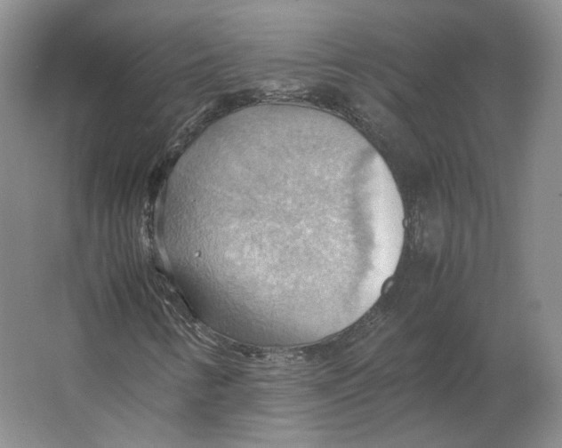 X0000064041346200602171633