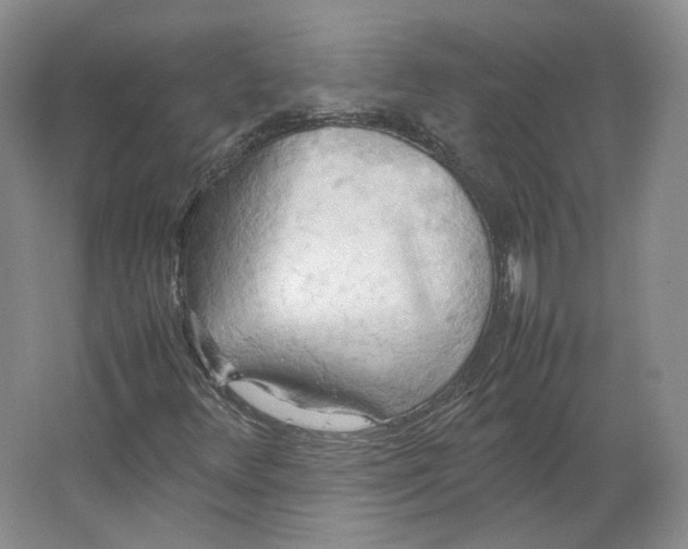 X0000064041348200602171633