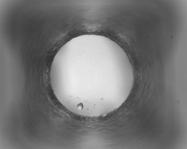 X0000064041349200602171633