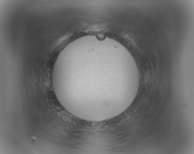 X0000064041350200602171633