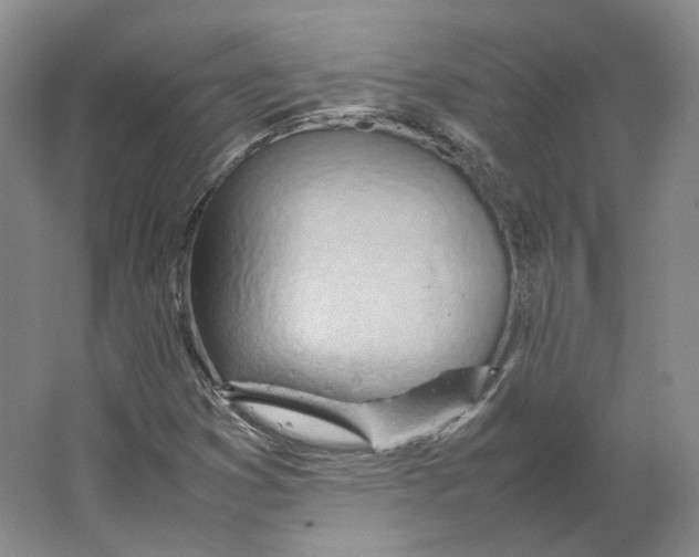 X0000064041353200602171633