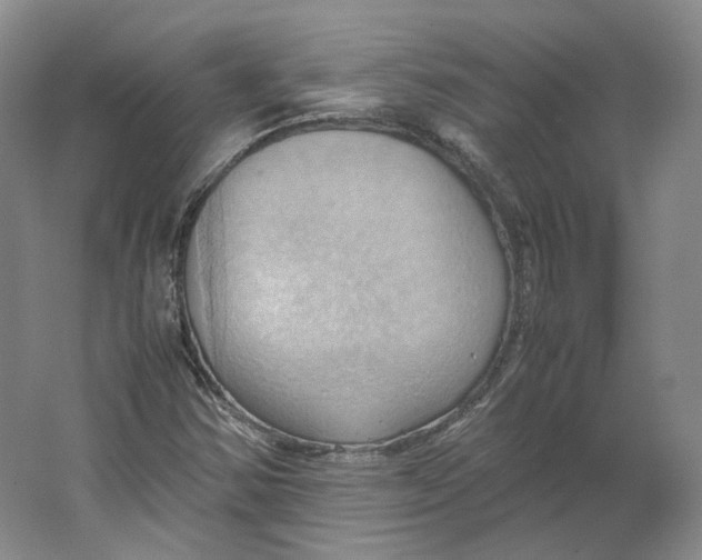 X0000064041354200602171633