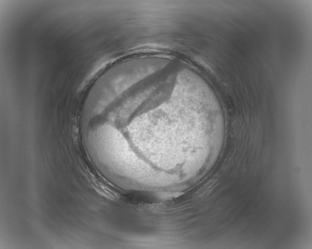 X0000064041355200602171633