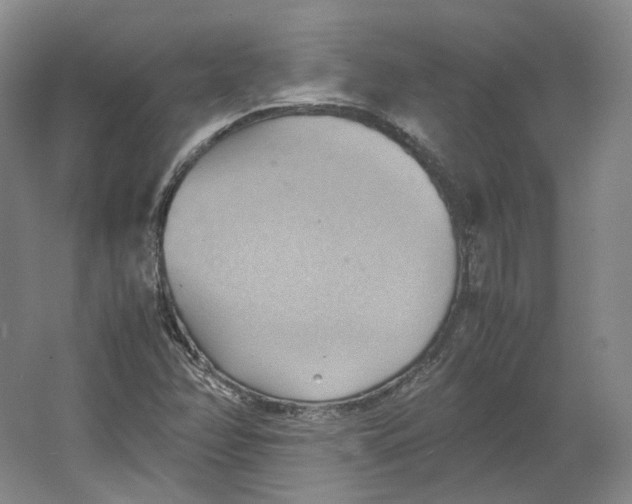 X0000064041358200602171633