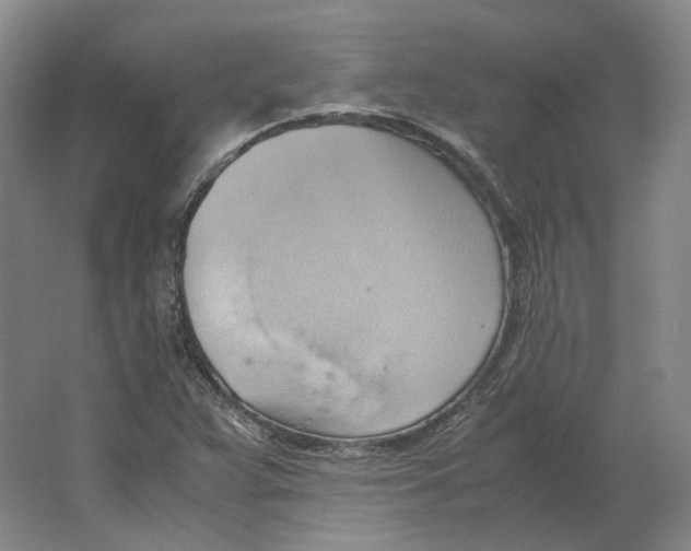 X0000064041359200602171633