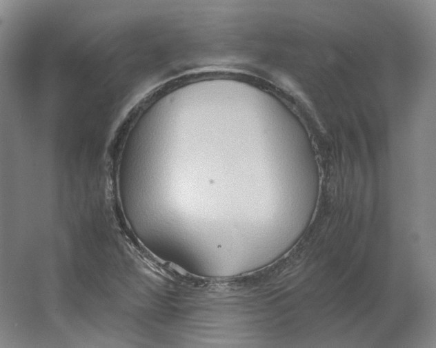 X0000064041360200602171633