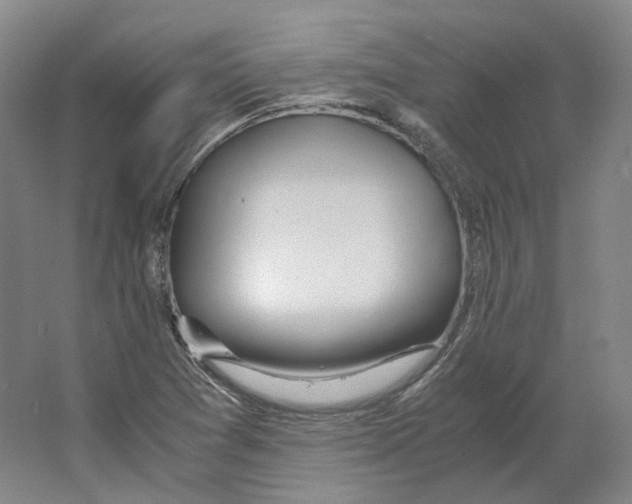 X0000064041361200602171633