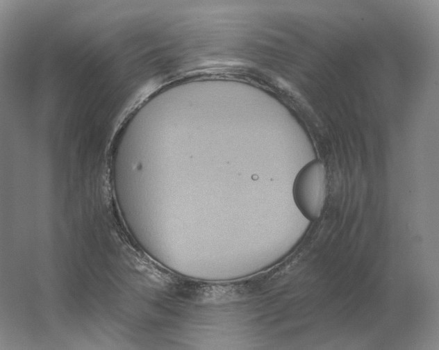 X0000064041362200602171633