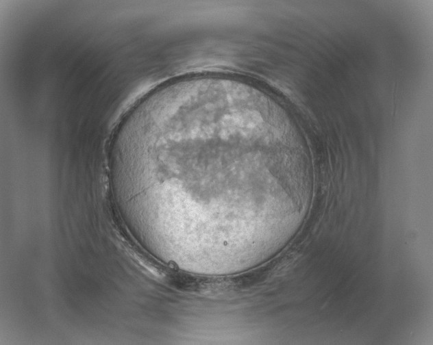 X0000064041363200602171633