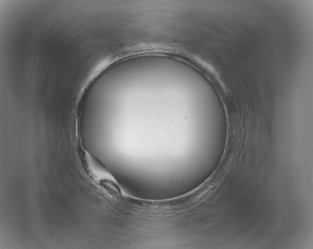 X0000064041365200602171633